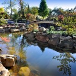 Decoração de lagos de jardim